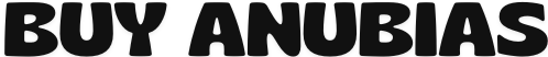 BUY ANUBIAS LOGO